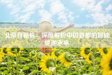 北京开箱机：深度解析中国首都的智能快递未来