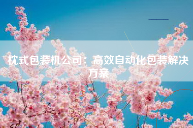 枕式包装机公司：高效自动化包装解决方案