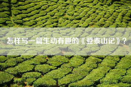 怎样写一篇生动有趣的《登泰山记》？