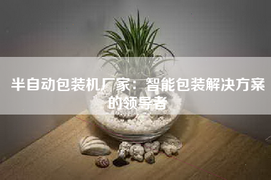 半自动包装机厂家：智能包装解决方案的领导者