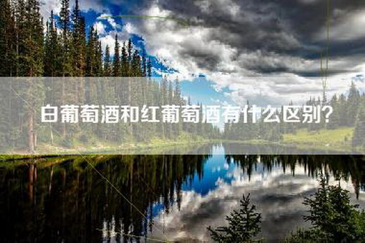 白葡萄酒和红葡萄酒有什么区别？