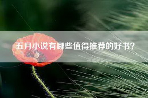 admin