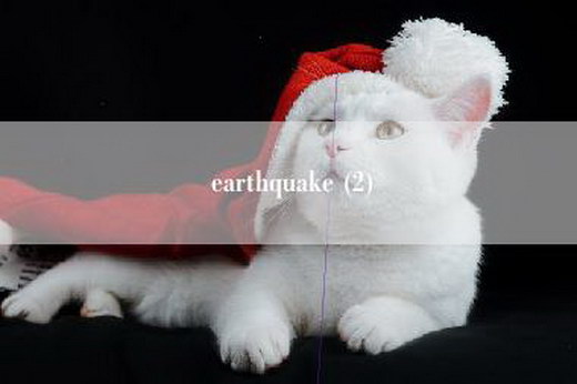 earthquake (2)