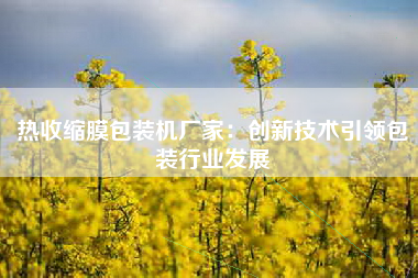 热收缩膜包装机厂家：创新技术引领包装行业发展