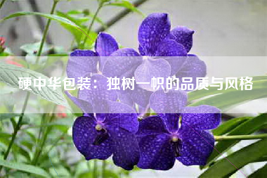 硬中华包装：独树一帜的品质与风格