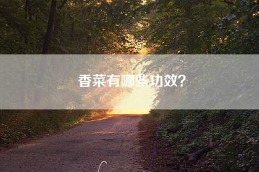香菜有哪些功效？