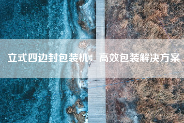 立式四边封包装机：高效包装解决方案