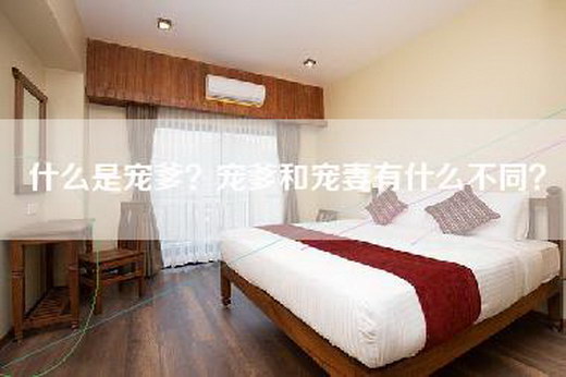 什么是宠爹？宠爹和宠妻有什么不同？