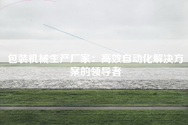 包装机械生产厂家：高效自动化解决方案的领导者