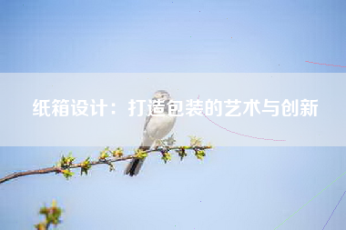 纸箱设计：打造包装的艺术与创新