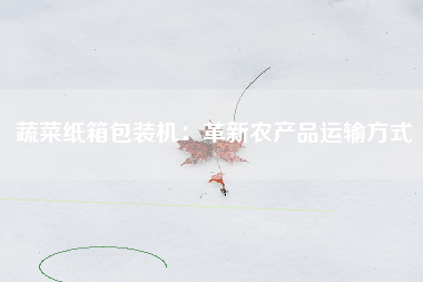 蔬菜纸箱包装机：革新农产品运输方式