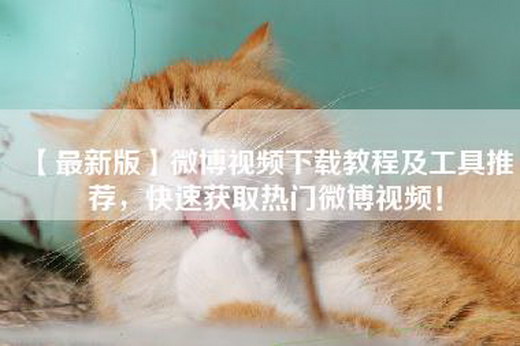 【最新版】微博视频下载教程及工具推荐，快速获取热门微博视频！