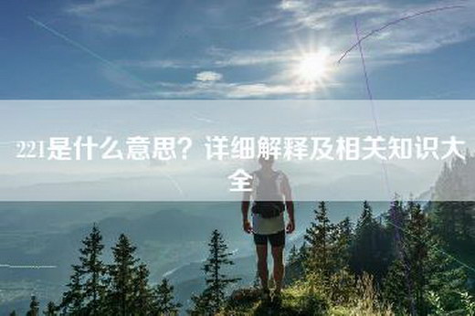 221是什么意思？详细解释及相关知识大全