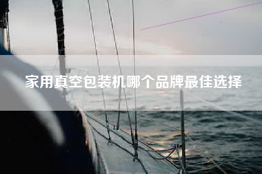 家用真空包装机哪个品牌最佳选择