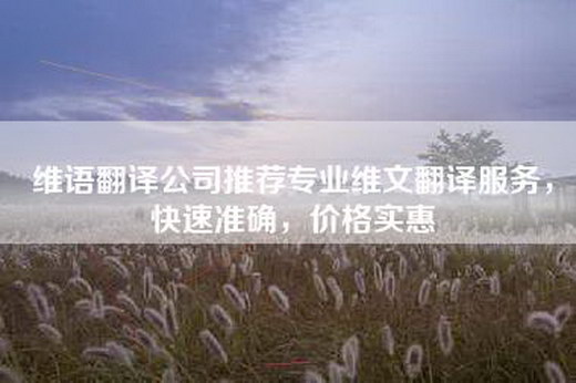 维语翻译公司推荐专业维文翻译服务，快速准确，价格实惠
