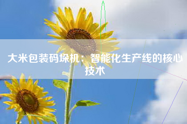 大米包装码垛机：智能化生产线的核心技术