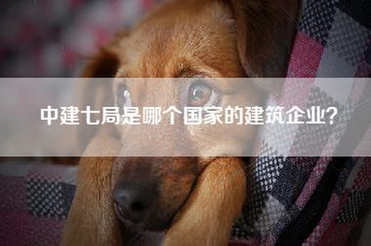 中建七局是哪个国家的建筑企业？