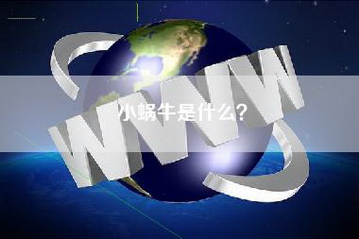 小蜗牛是什么？