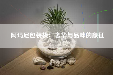 阿玛尼包装袋：奢华与品味的象征