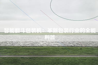 智能翻斗包装机：革新包装行业的全能利器