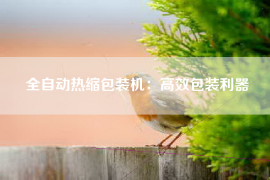 全自动热缩包装机：高效包装利器