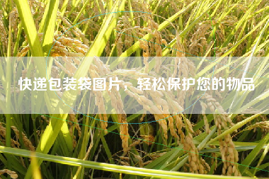 快递包装袋图片，轻松保护您的物品