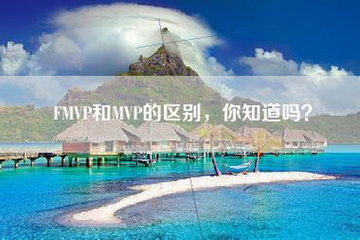 FMVP和MVP的区别，你知道吗？