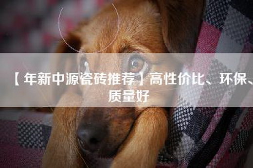 【年新中源瓷砖推荐】高性价比、环保、质量好