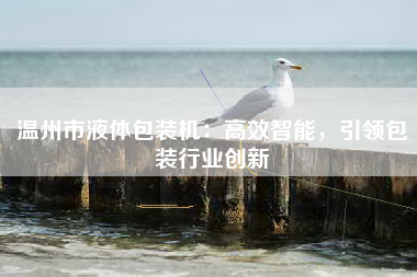 温州市液体包装机：高效智能，引领包装行业创新