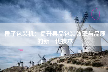 橙子包装机：提升果品包装效率与品质的新一代技术