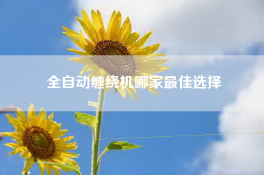 全自动缠绕机哪家最佳选择