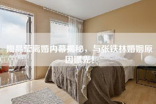 陶晶莹离婚内幕揭秘，与张铁林婚姻原因曝光！