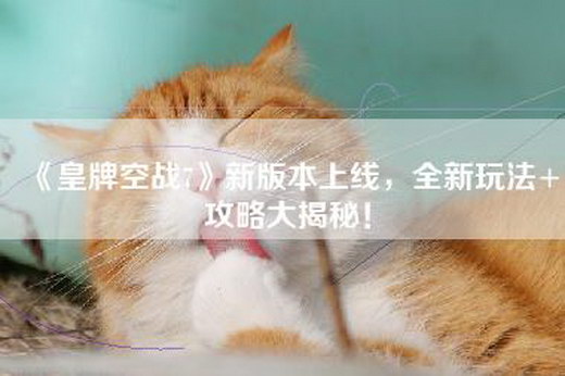 《皇牌空战7》新版本上线，全新玩法+攻略大揭秘！