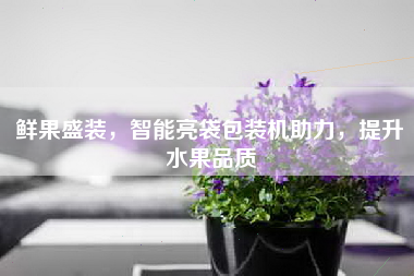 鲜果盛装，智能亮袋包装机助力，提升水果品质