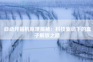 自动开箱机原理揭秘：科技驱动下的盒子解放之路