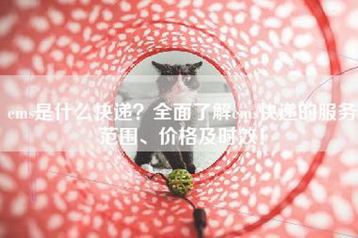 ems是什么快递？全面了解ems快递的服务范围、价格及时效！