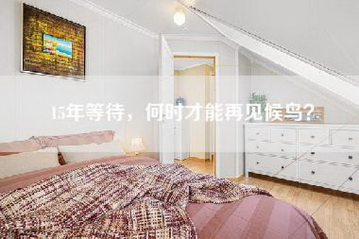 15年等待，何时才能再见候鸟？
