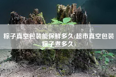 粽子真空包装能保鲜多久(超市真空包装粽子煮多久)