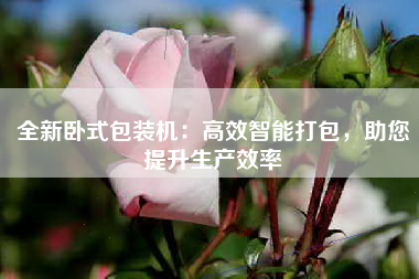 全新卧式包装机：高效智能打包，助您提升生产效率