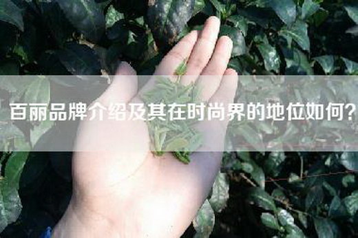 百丽品牌介绍及其在时尚界的地位如何？