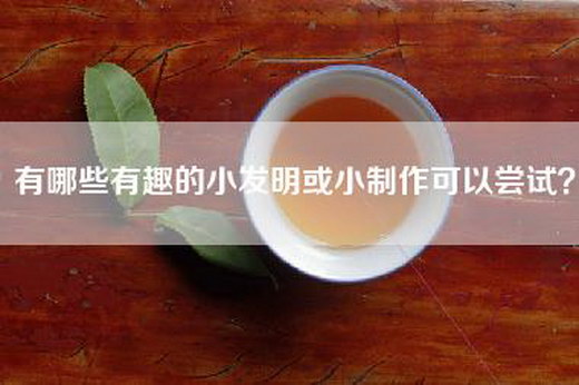 有哪些有趣的小发明或小制作可以尝试？