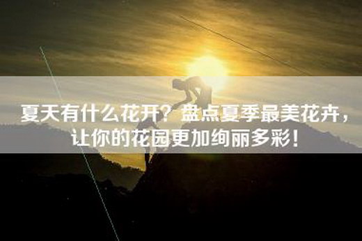 夏天有什么花开？盘点夏季最美花卉，让你的花园更加绚丽多彩！