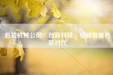 包装机械公司：创新科技，引领智能包装时代