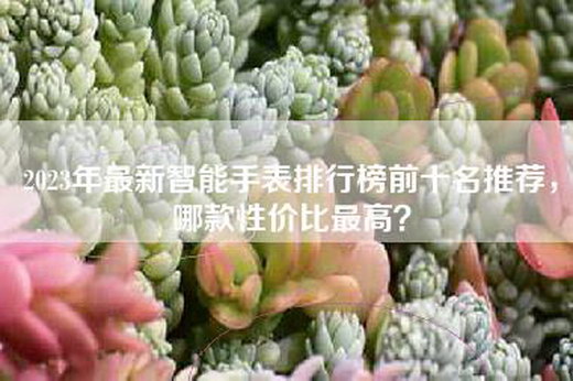 2023年最新智能手表排行榜前十名推荐，哪款性价比最高？