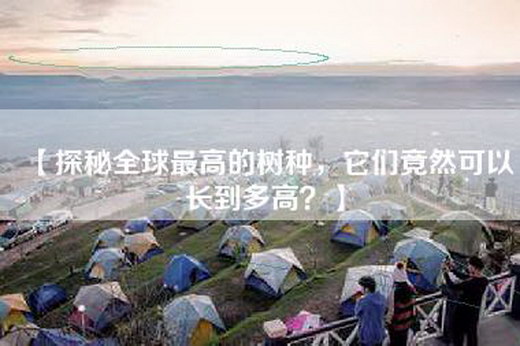 【探秘全球最高的树种，它们竟然可以长到多高？】