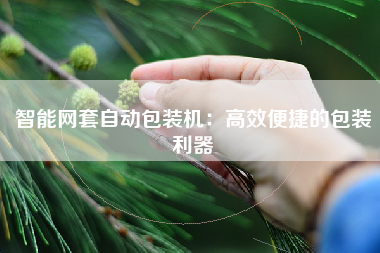 智能网套自动包装机：高效便捷的包装利器