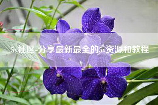 5x社区-分享最新最全的5x资源和教程