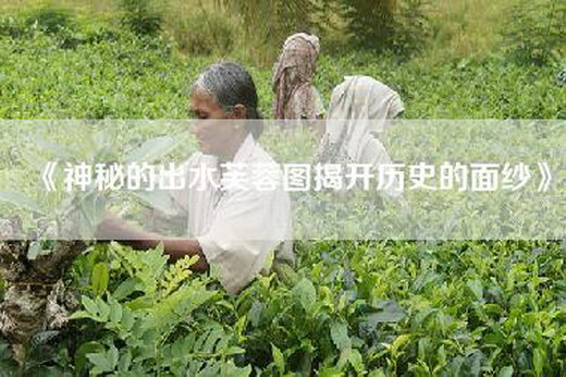 《神秘的出水芙蓉图揭开历史的面纱》