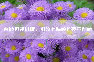 智能包装机械，引领上海硕科技术创新
