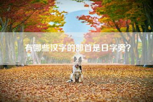 有哪些汉字的部首是日字旁？